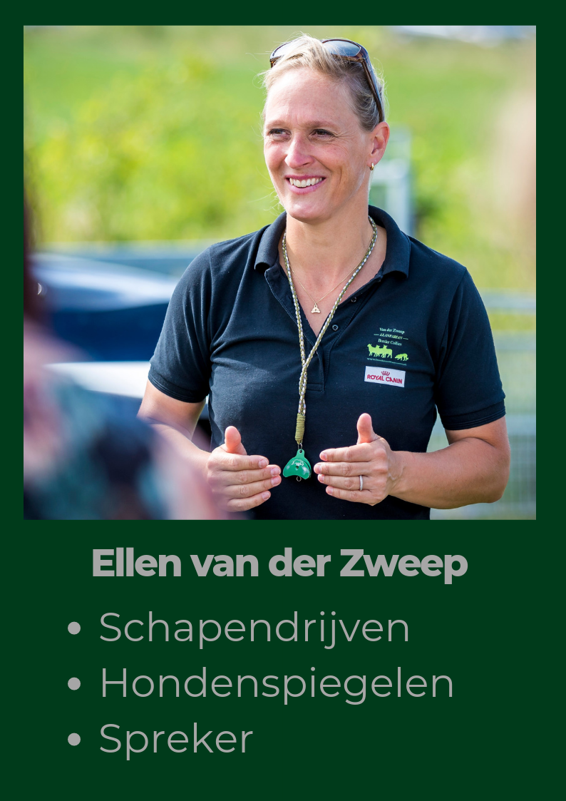 Ellen van der Zweep - Llanfarian Events